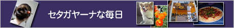 䡼ʤ